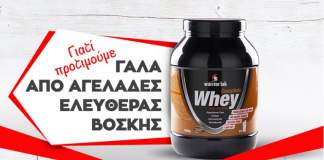 Grass VS Grain Fed Cows