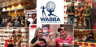 Wabba International 2017