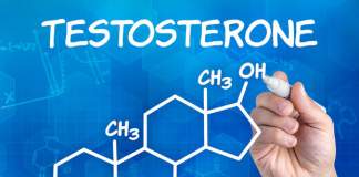 Τεστοστερόνη (Μέρος 1)