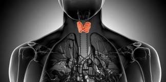 Θυροειδής αδένας (Μέρος 4)