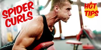 Spider Curls/ Biceps Workout