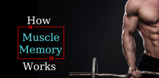 Μυϊκή Μνήμη