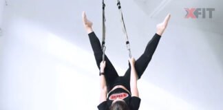 X-Fit Suspension Elevate Trainer Kit